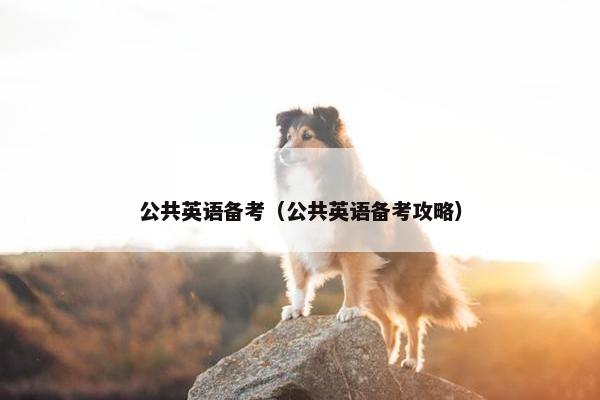公共英语备考（公共英语备考攻略）