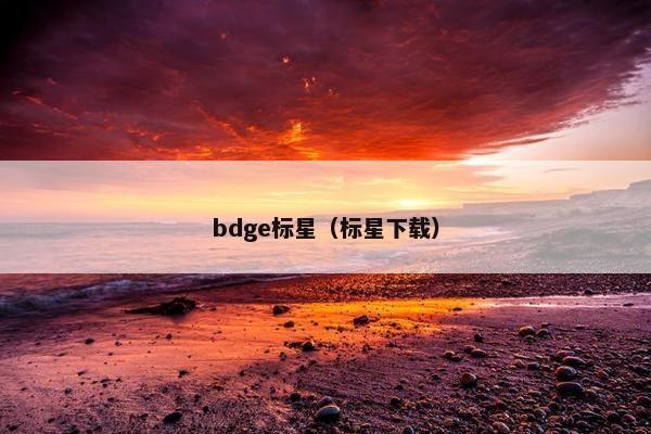 bdge标星（标星下载）