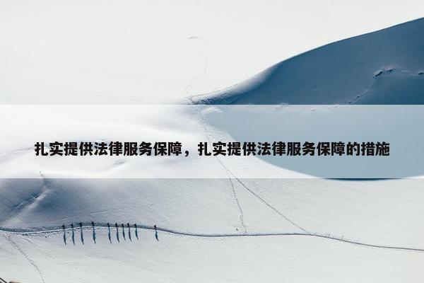扎实提供法律服务保障，扎实提供法律服务保障的措施