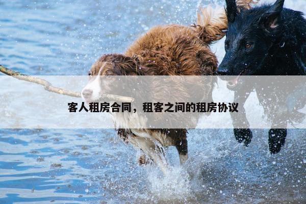 客人租房合同，租客之间的租房协议