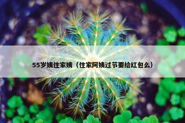 55岁姨住家姨（住家阿姨过节要给红包么）