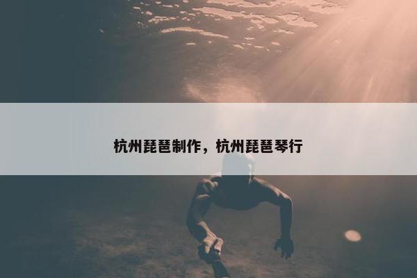 杭州琵琶制作，杭州琵琶琴行