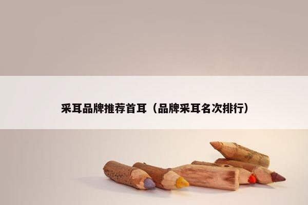 采耳品牌推荐首耳（品牌采耳名次排行）