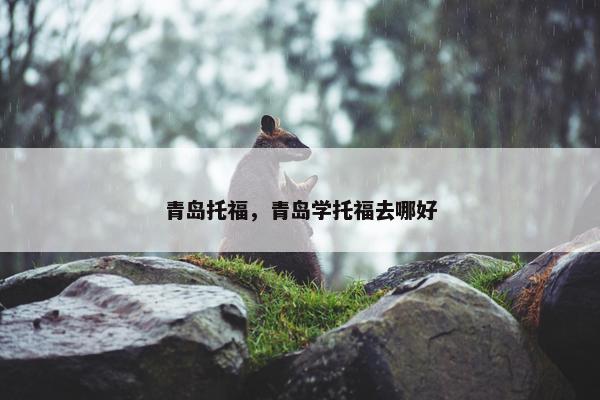 青岛托福，青岛学托福去哪好