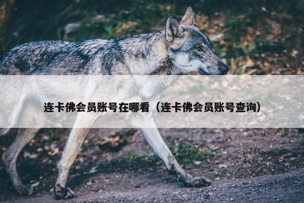 连卡佛会员账号在哪看（连卡佛会员账号查询）