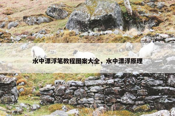 水中漂浮笔教程图案大全，水中漂浮原理