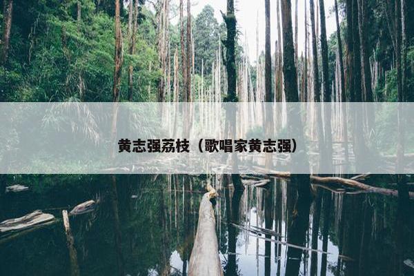 黄志强荔枝（歌唱家黄志强）