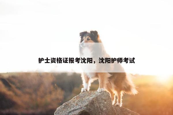护士资格证报考沈阳，沈阳护师考试
