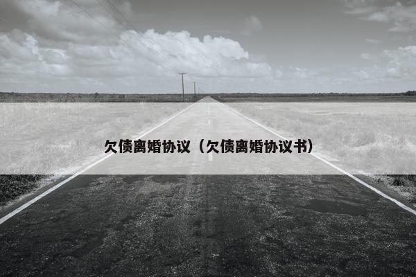 欠债离婚协议（欠债离婚协议书）