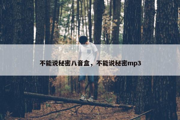 不能说秘密八音盒，不能说秘密mp3