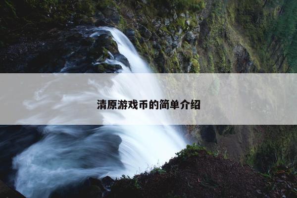 清原游戏币的简单介绍