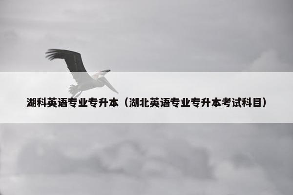 湖科英语专业专升本（湖北英语专业专升本考试科目）