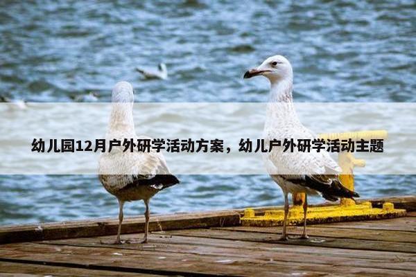 幼儿园12月户外研学活动方案，幼儿户外研学活动主题