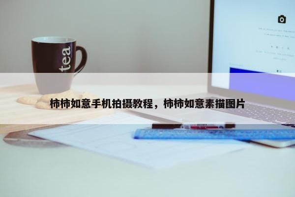 柿柿如意手机拍摄教程，柿柿如意素描图片