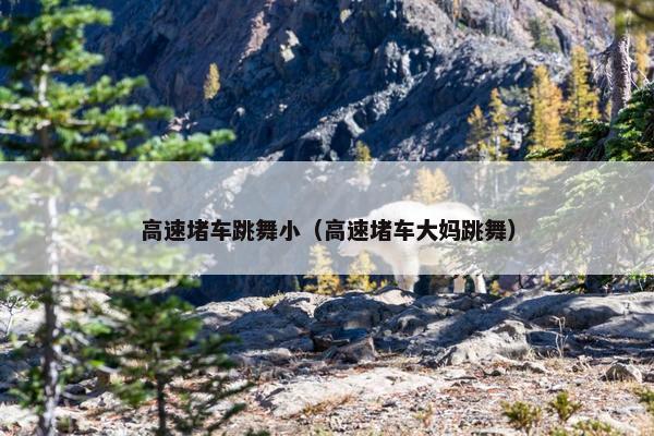 高速堵车跳舞小（高速堵车大妈跳舞）