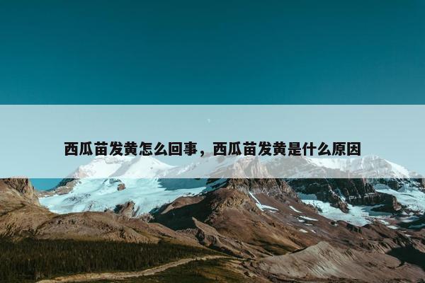 西瓜苗发黄怎么回事，西瓜苗发黄是什么原因