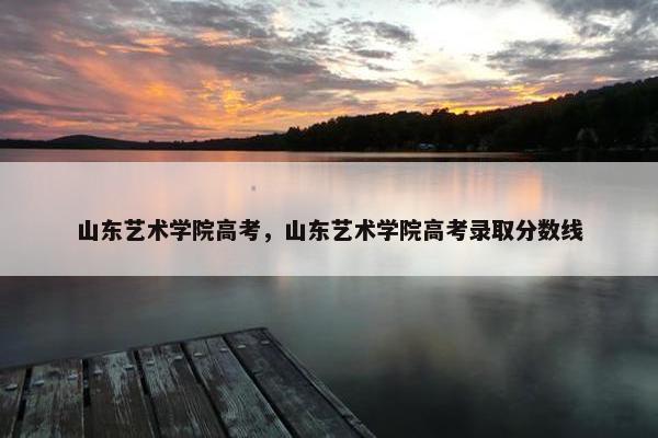 山东艺术学院高考，山东艺术学院高考录取分数线