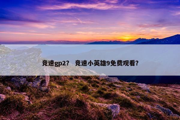 竞速gp2？ 竞速小英雄9免费观看？