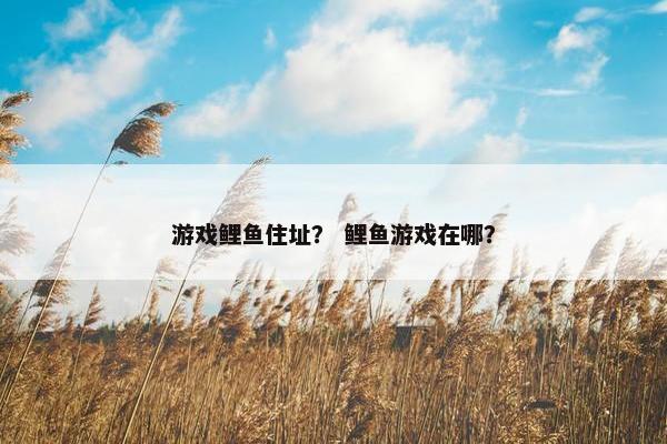 游戏鲤鱼住址？ 鲤鱼游戏在哪？
