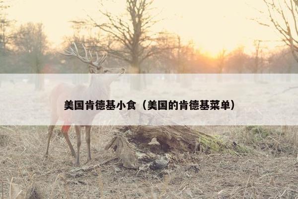 美国肯德基小食（美国的肯德基菜单）