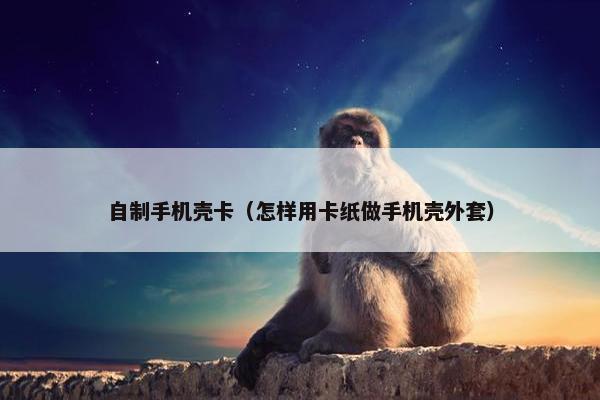 自制手机壳卡（怎样用卡纸做手机壳外套）