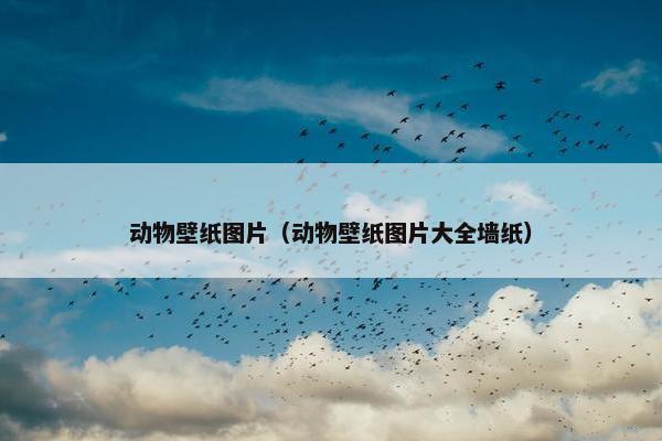 动物壁纸图片（动物壁纸图片大全墙纸）