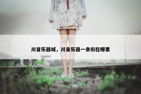 川音乐器城，川音乐器一条街在哪里