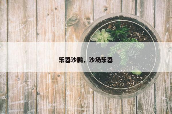 乐器沙鹏，沙场乐器