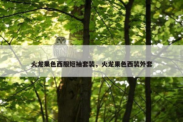 火龙果色西服短袖套装，火龙果色西装外套