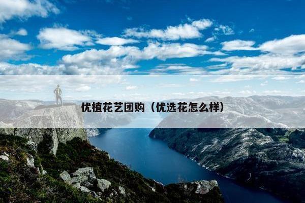 优植花艺团购（优选花怎么样）