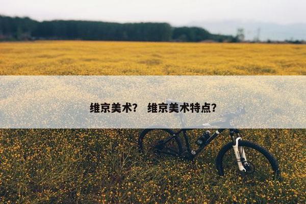 维京美术？ 维京美术特点？