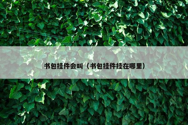 书包挂件会叫（书包挂件挂在哪里）