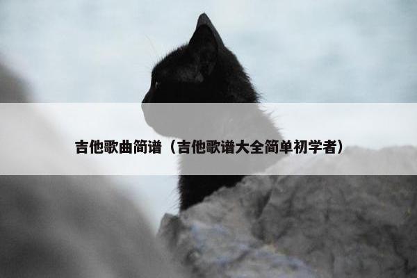 吉他歌曲简谱（吉他歌谱大全简单初学者）