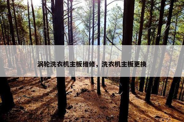 涡轮洗衣机主板维修，洗衣机主板更换