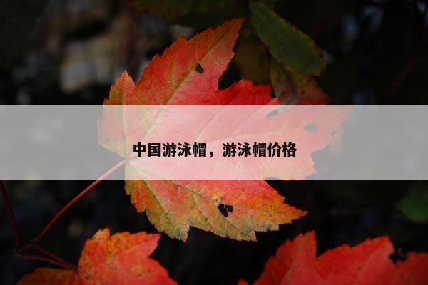 中国游泳帽，游泳帽价格