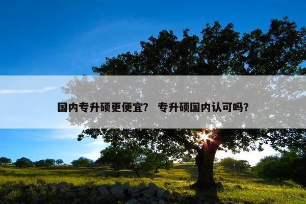 国内专升硕更便宜？ 专升硕国内认可吗？