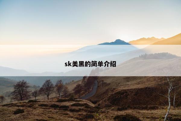 sk美黑的简单介绍