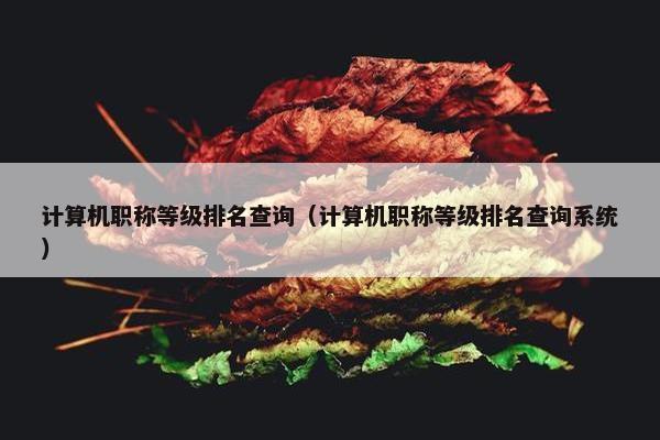 计算机职称等级排名查询（计算机职称等级排名查询系统）