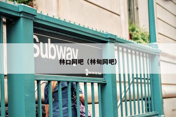 林口网吧（林甸网吧）