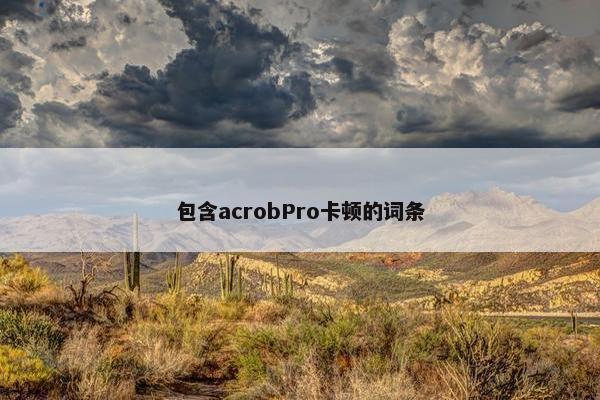 包含acrobPro卡顿的词条
