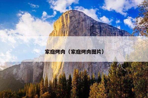 家庭烤肉（家庭烤肉图片）