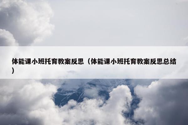 体能课小班托育教案反思（体能课小班托育教案反思总结）
