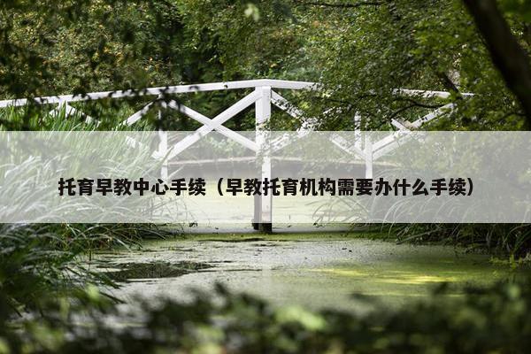 托育早教中心手续（早教托育机构需要办什么手续）