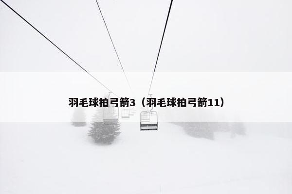 羽毛球拍弓箭3（羽毛球拍弓箭11）