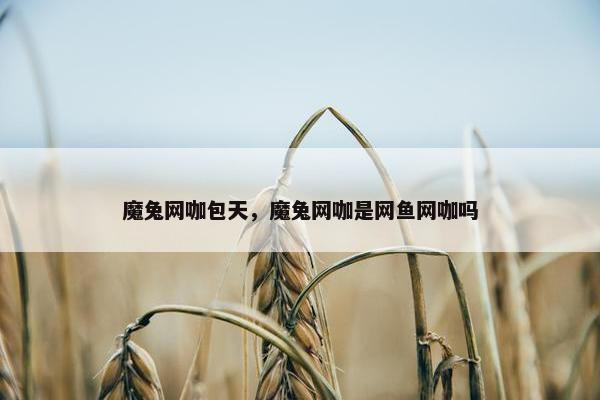 魔兔网咖包天，魔兔网咖是网鱼网咖吗