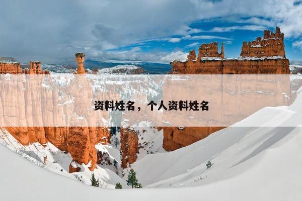 资料姓名，个人资料姓名