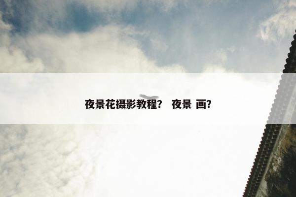 夜景花摄影教程？ 夜景 画？