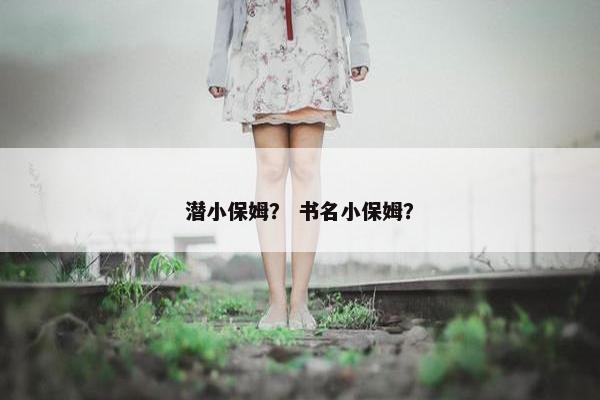 潜小保姆？ 书名小保姆？