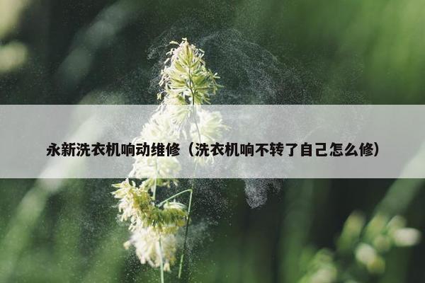 永新洗衣机响动维修（洗衣机响不转了自己怎么修）