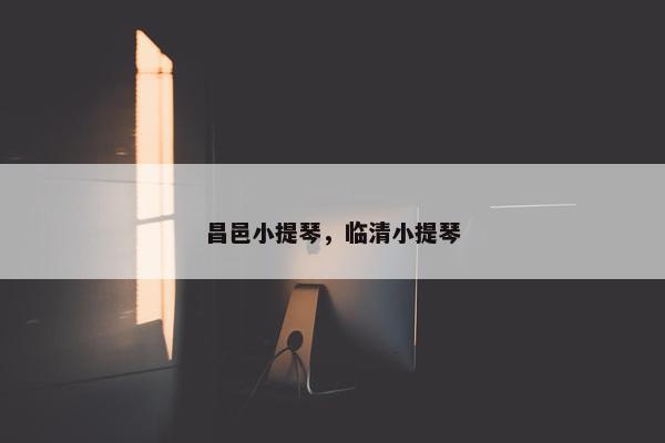 昌邑小提琴，临清小提琴